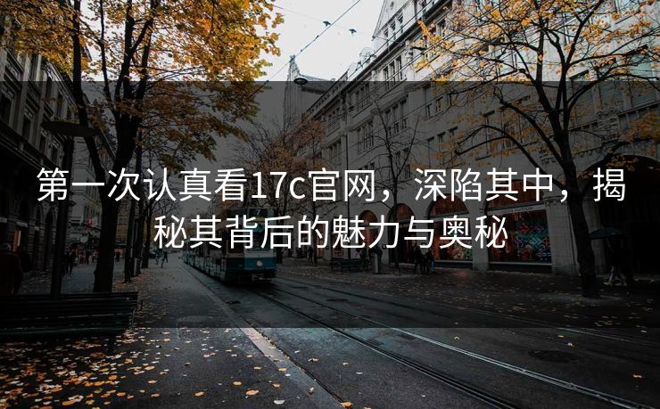 第一次认真看17c官网,深陷其中,揭秘其背后的魅力与奥秘