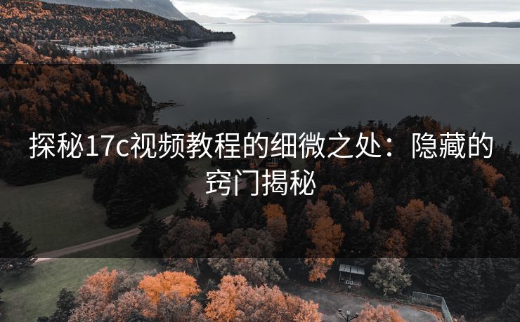 探秘17c视频教程的细微之处：隐藏的窍门揭秘