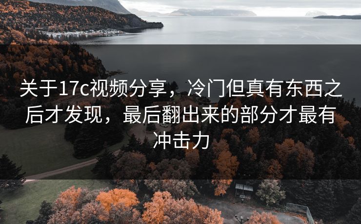 关于17c视频分享，冷门但真有东西之后才发现，最后翻出来的部分才最有冲击力